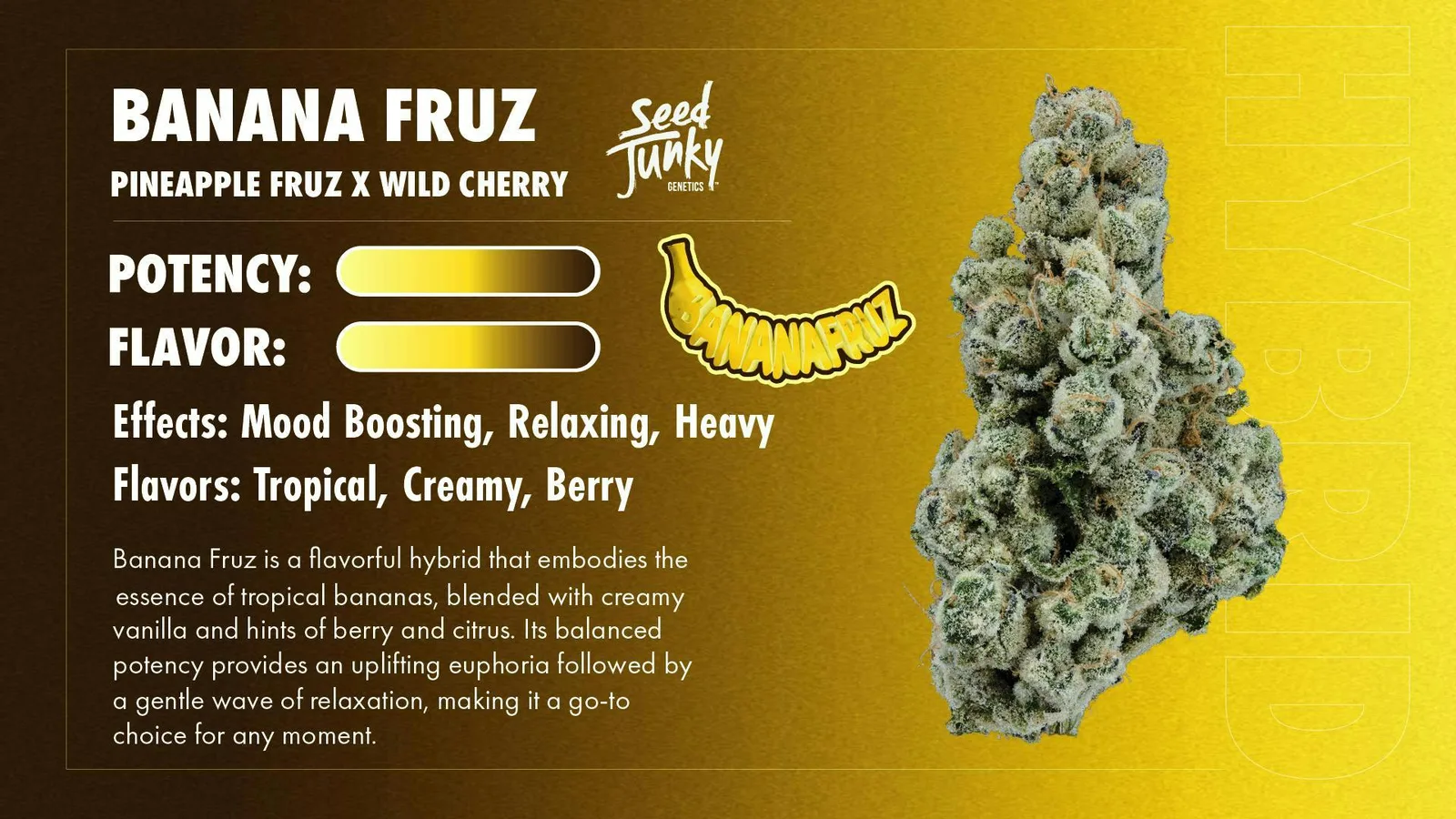 Seed Junky | Banana Fruz | Big Buds
