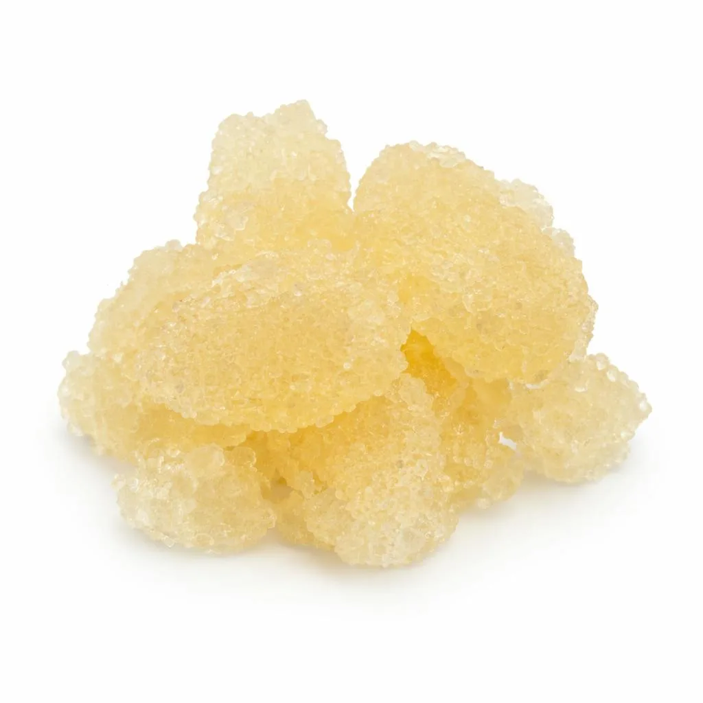 Golden Bear Concentrate - Girl Scout Cookies - 1G Sugar