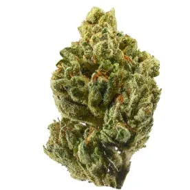 Hazy Bulldog Farms; Zushie (H/I) 14g - Premium (High THC)