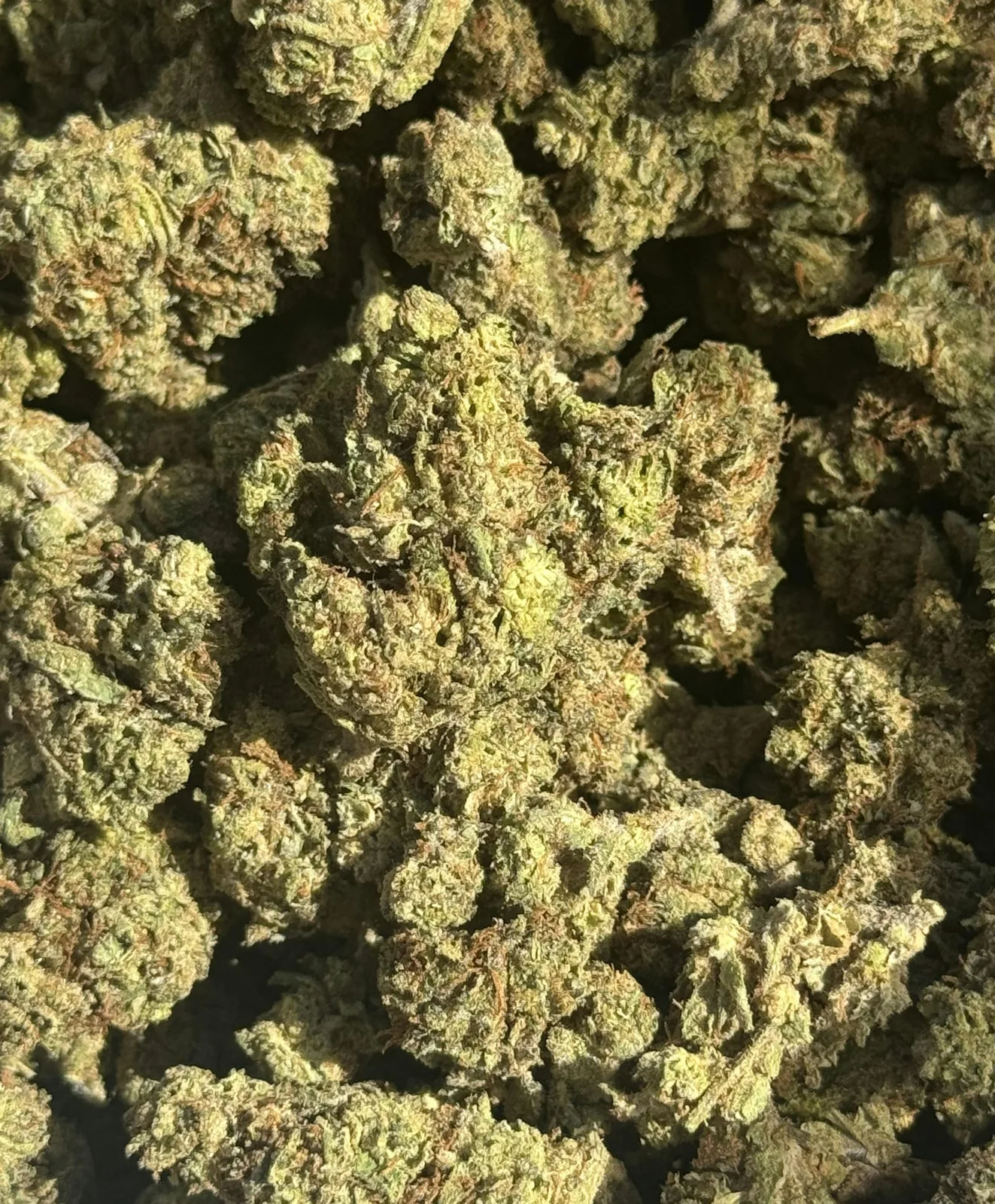 [Gaia's Garden] 14g Premium Greenhouse Flower - Gorilla Blizzard