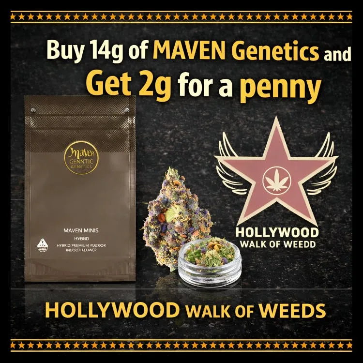Chem 51 Maven Minis [14g]