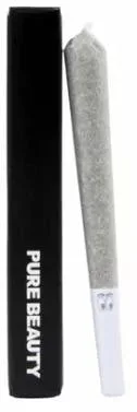 Bermuda Triangle [H] - 1G Infused Preroll