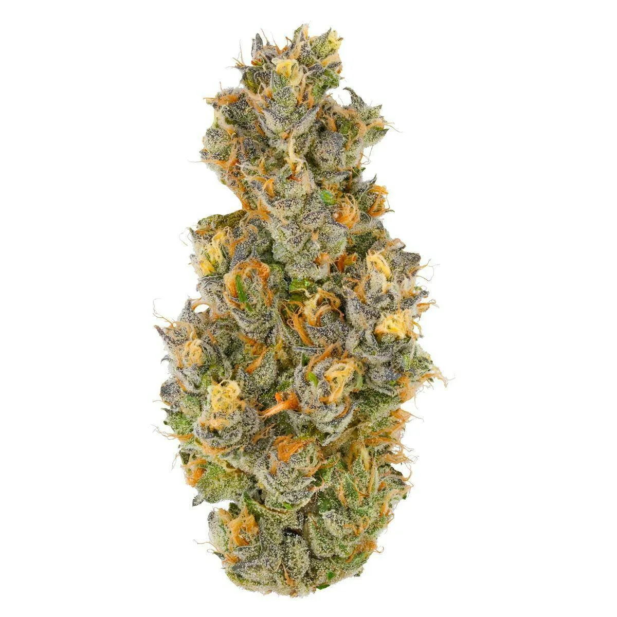Fig Farms | Krypto Nectarines | Big Buds