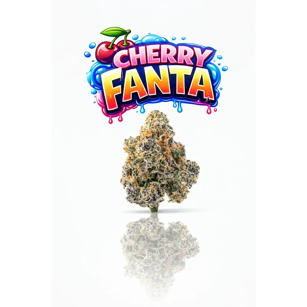 CHERRY FANTA - 28G | INDOOR FLOWER