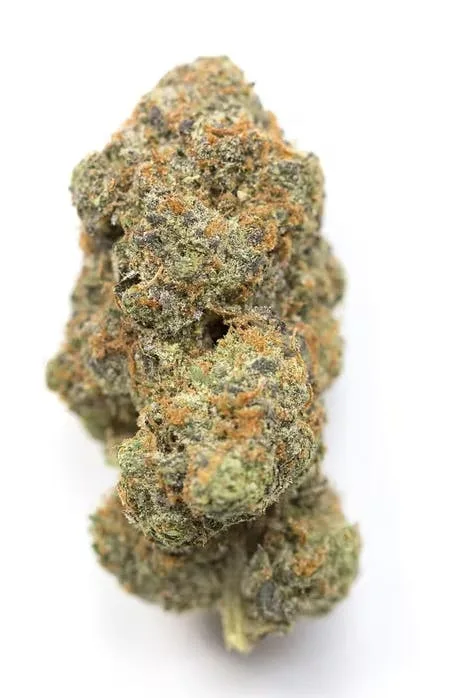 Lucid Blue - Sativa - 30.93% THC