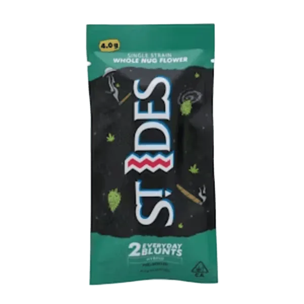 MEAN STREAK BLUNTS 2 PACK