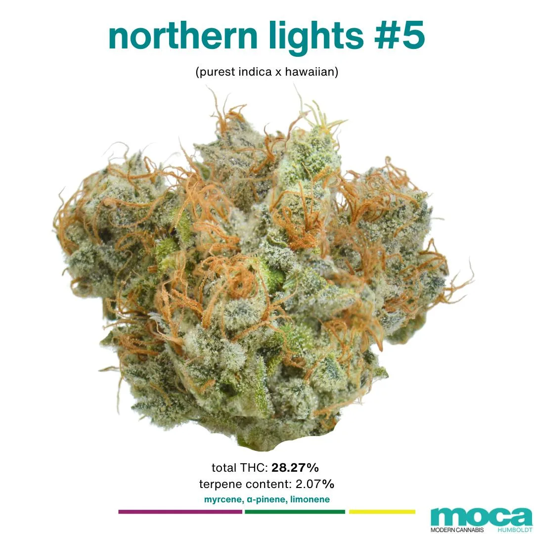 MOCA Flowers - Smalls 1/4 Bag - Northern Lights #5