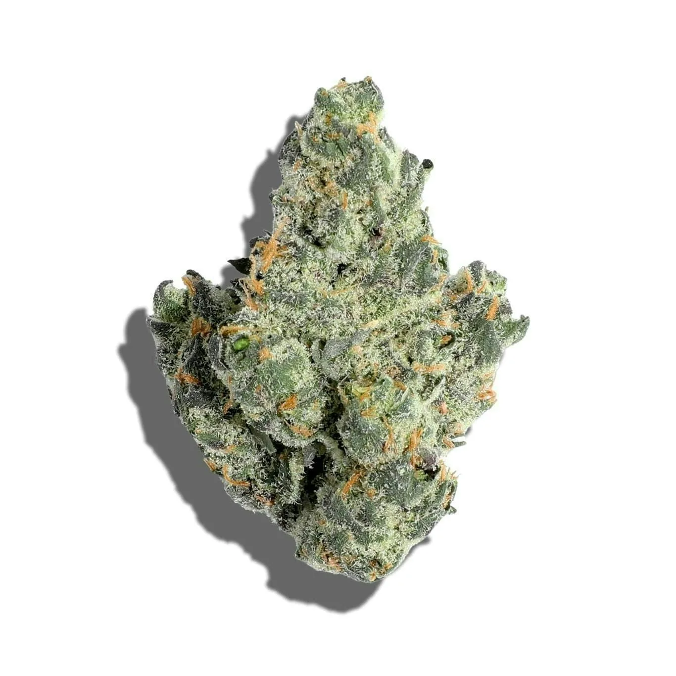 Obama Runtz (Hybrid) - Premium House Flower 36.5% - 1/8oz. 3.5g.