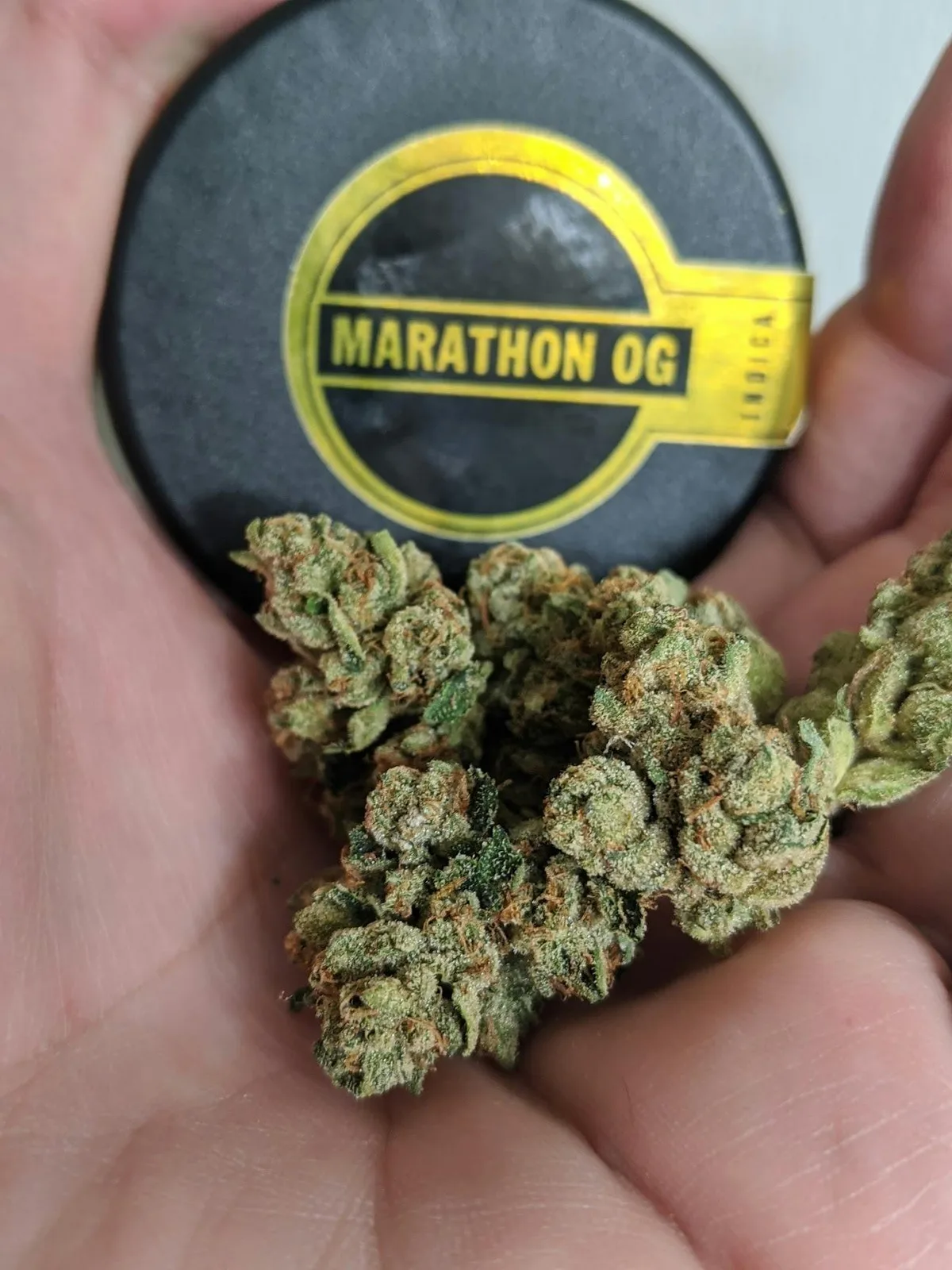 The Cure Company Flower - Marathon OG 3.5g