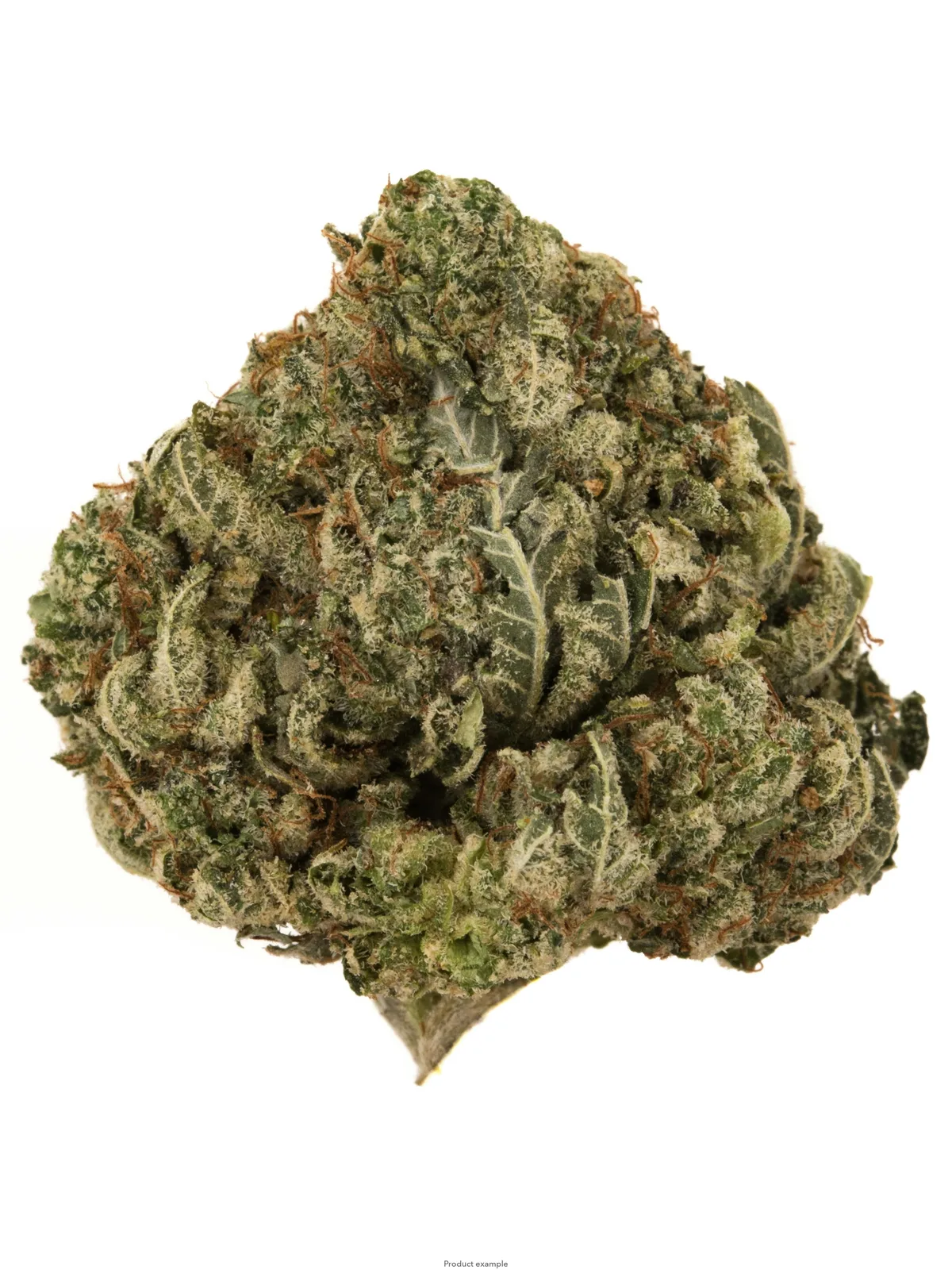 Original Glue - Eighth