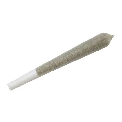 PLUTO PIE (I) PRE-ROLL - 1.5 g