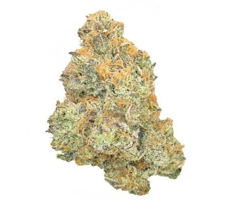 GODS GIFT *ULTRA EXOTIC* (I)