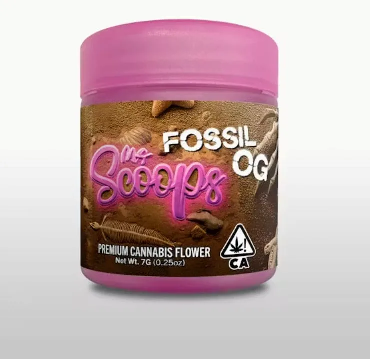 PINK CROCODILE 7G MS. SCOOPS