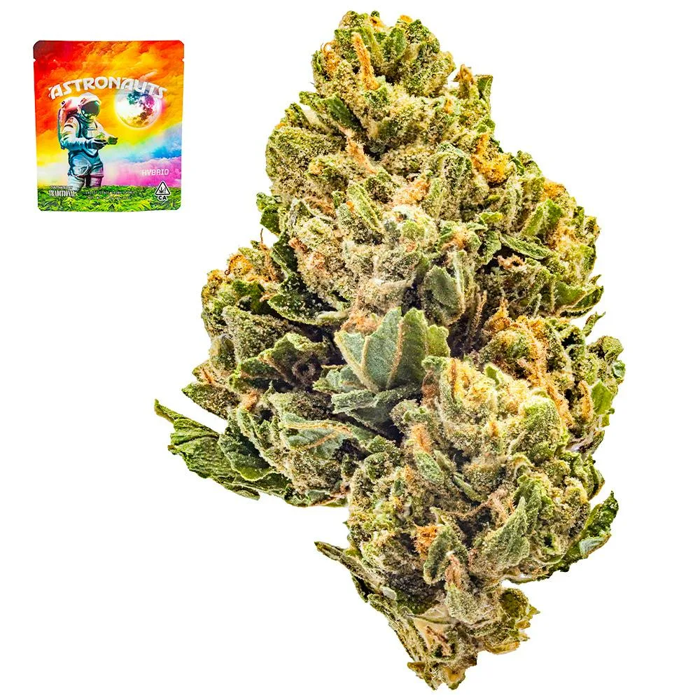Space Gelato Smalls
