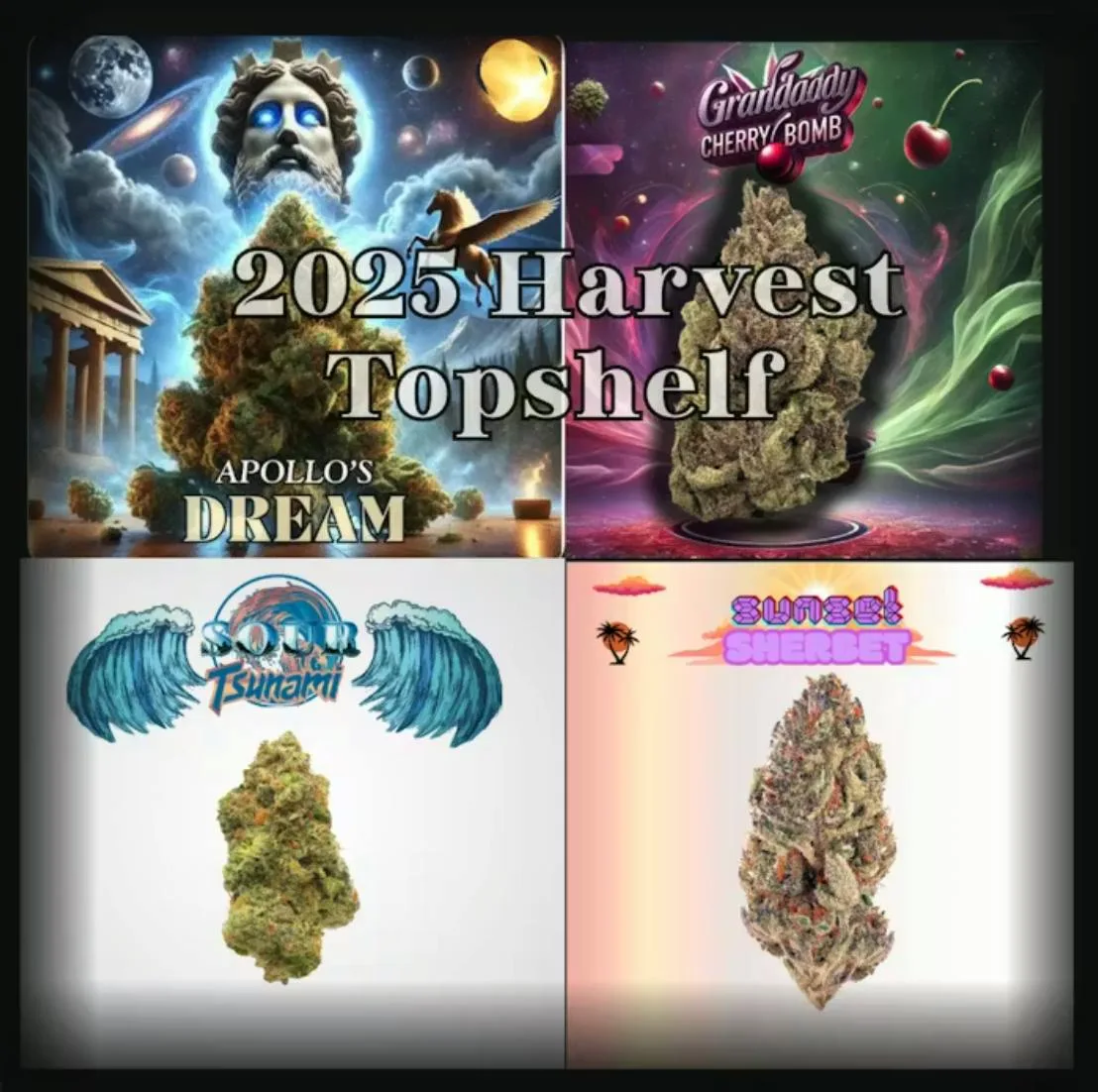 14G - 1/2 Oz - 2025 Harvest Topshelf [ Random/Assorted] - Excl.