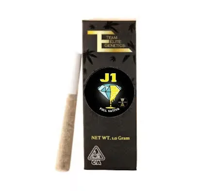 Team Elite Genetics - J1 1g Preroll - 1 gram