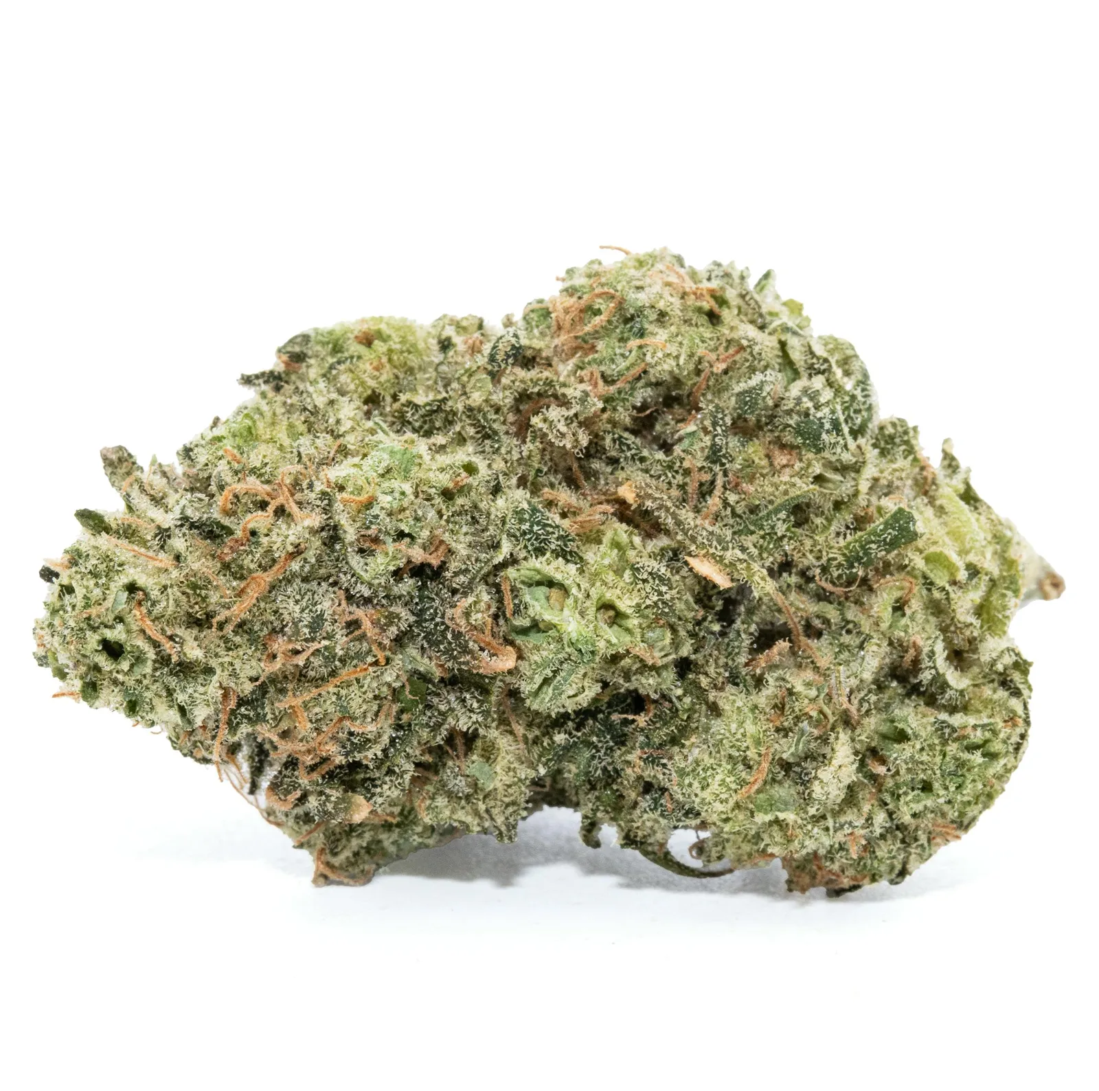 CHEESE [14G]