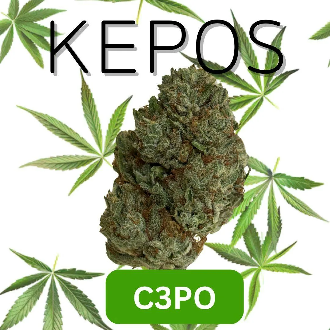 Kepos - CP30 3.5g - Premium Flower