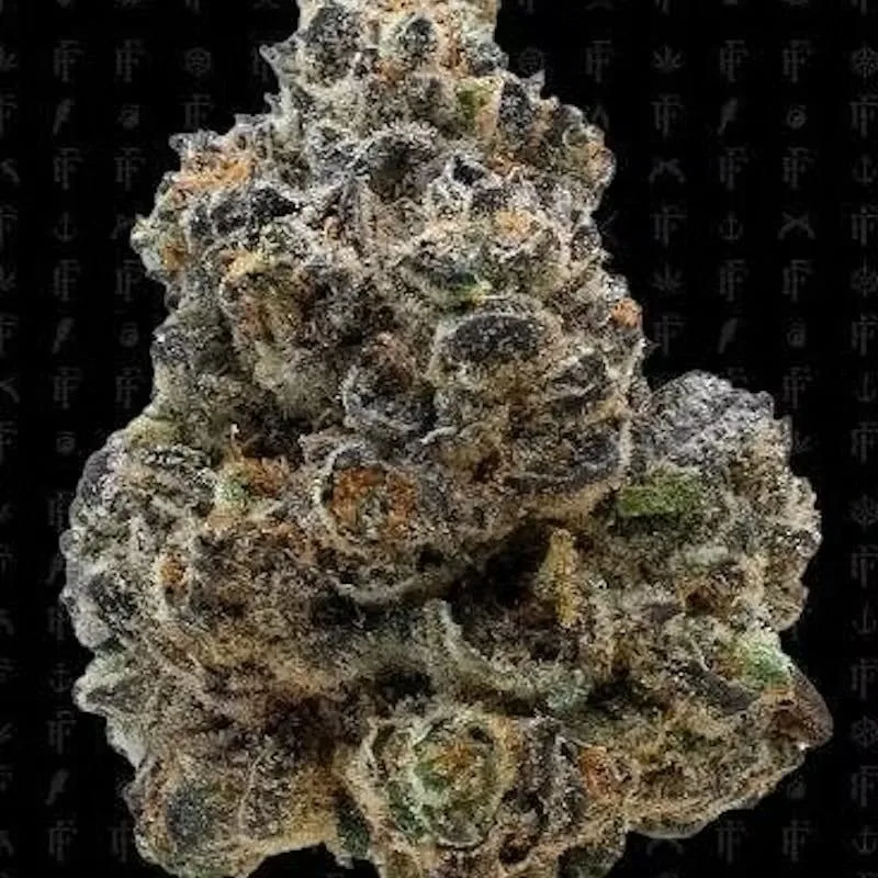 🔥Candy Gas🔥 House of Nerdz