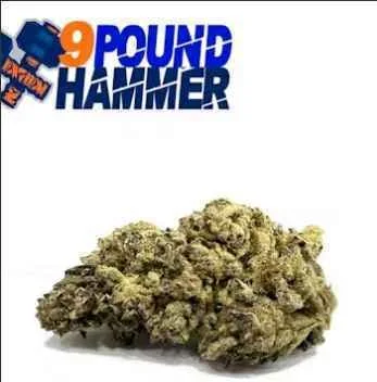 Mecca | 9 Pound Hammer | 7g | I