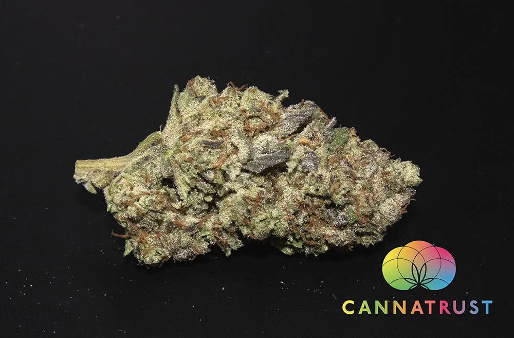 GovernMint Oasis 1 Gram (29%THC, Hybrid)