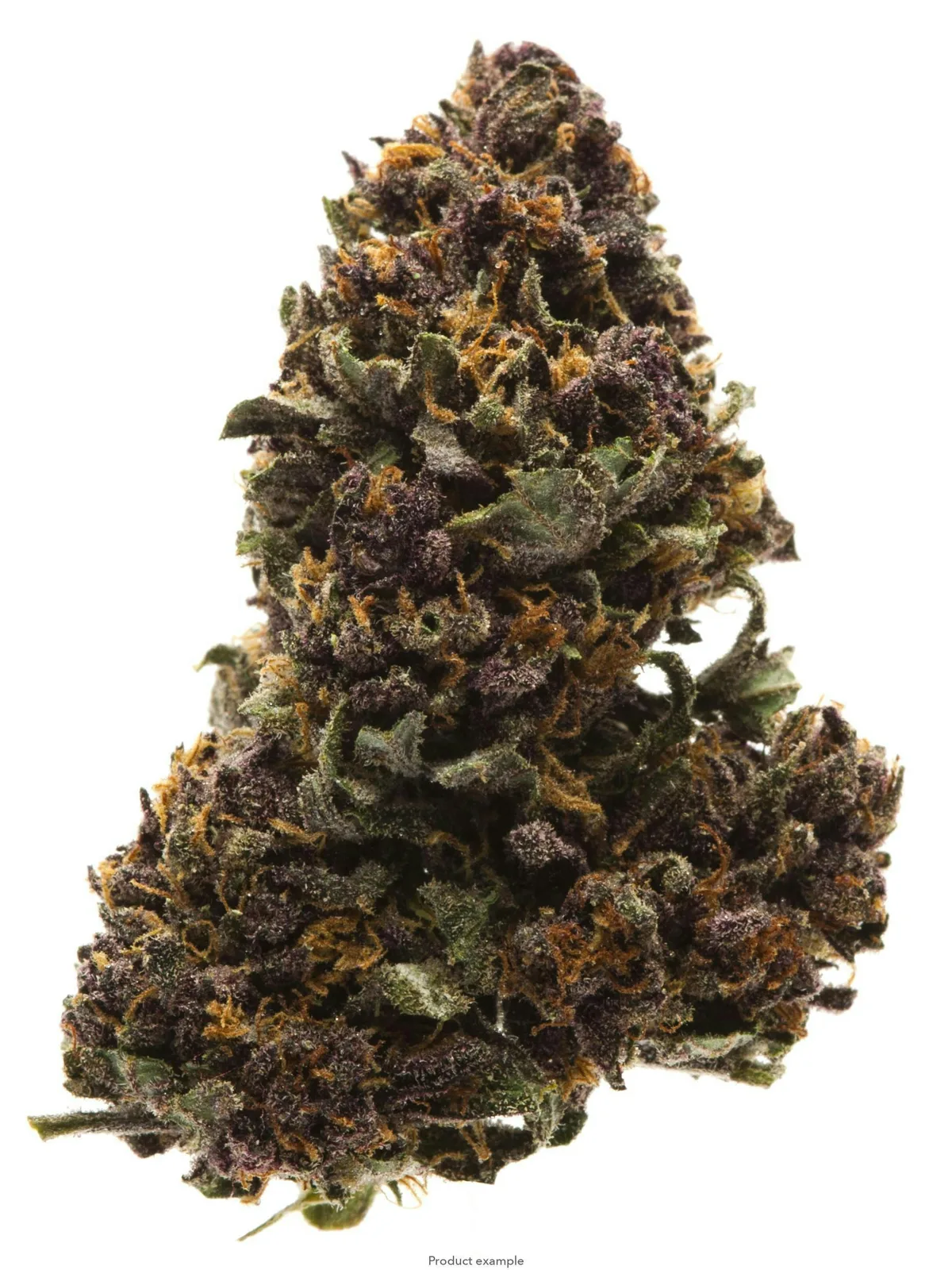 Purple Kush 14G (TOPSHELF INDOOR)