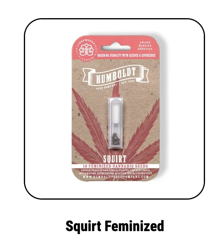 Humboldt Seed Company | Squirt | Feminized Seeds