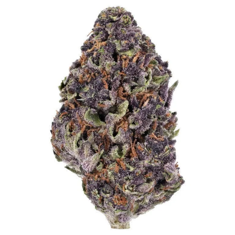 Granddaddy Purp 14G TOP-PREMIUM (NEW DROP)