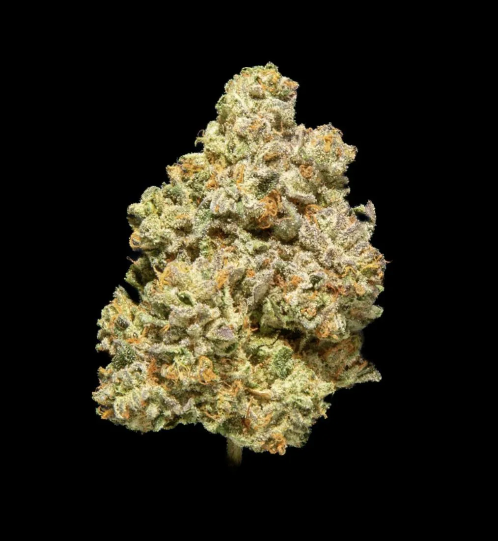 HGN | Gushmints | Flower | 14G