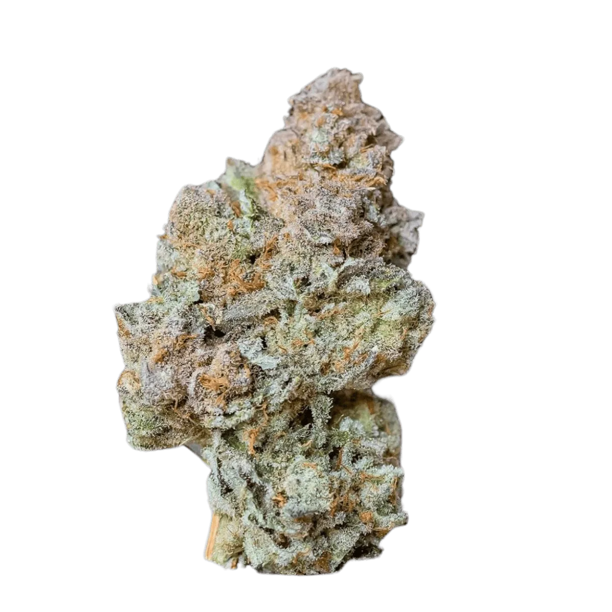 Glitterbomb