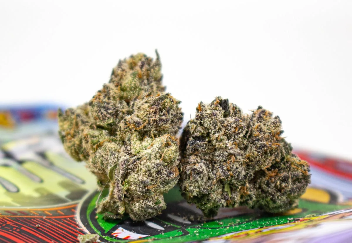 Gooniez - Dragon Trash Flower - 3.5G