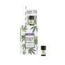 Vape Cartridge - SKYWALKER OG 1G Original THC Pod - STIIIZY