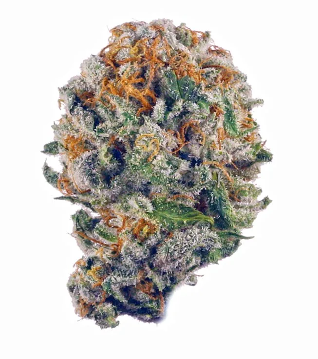 Blueberry Muffin I Indoor Indica I 35.21% THC