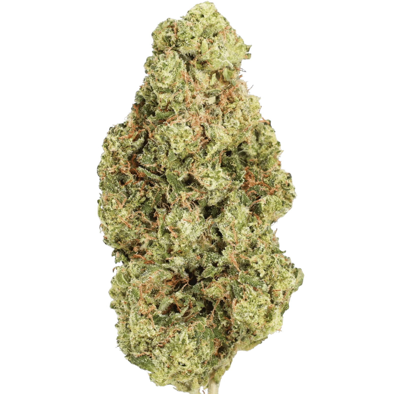 GSC - LEMON HEAD - 28 GRAMS