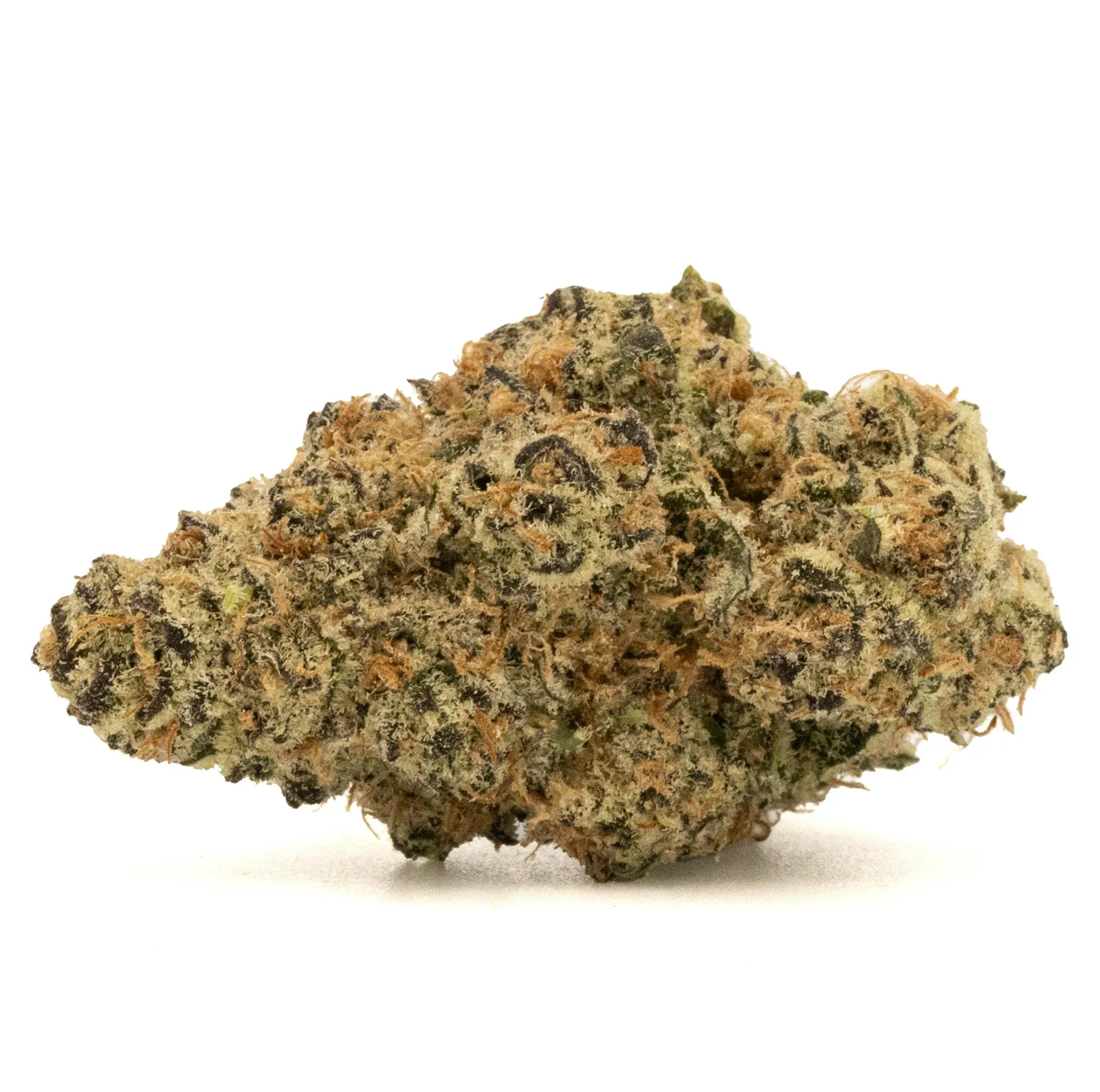 GOVERNMINT OASIS [14G]