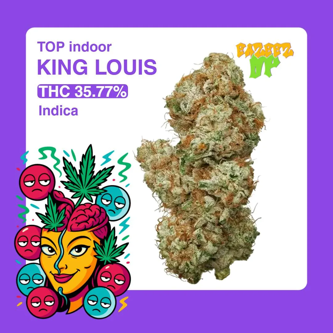 King Louis - Top Indoor - New Drop- (14g-1/2oz) - Indica