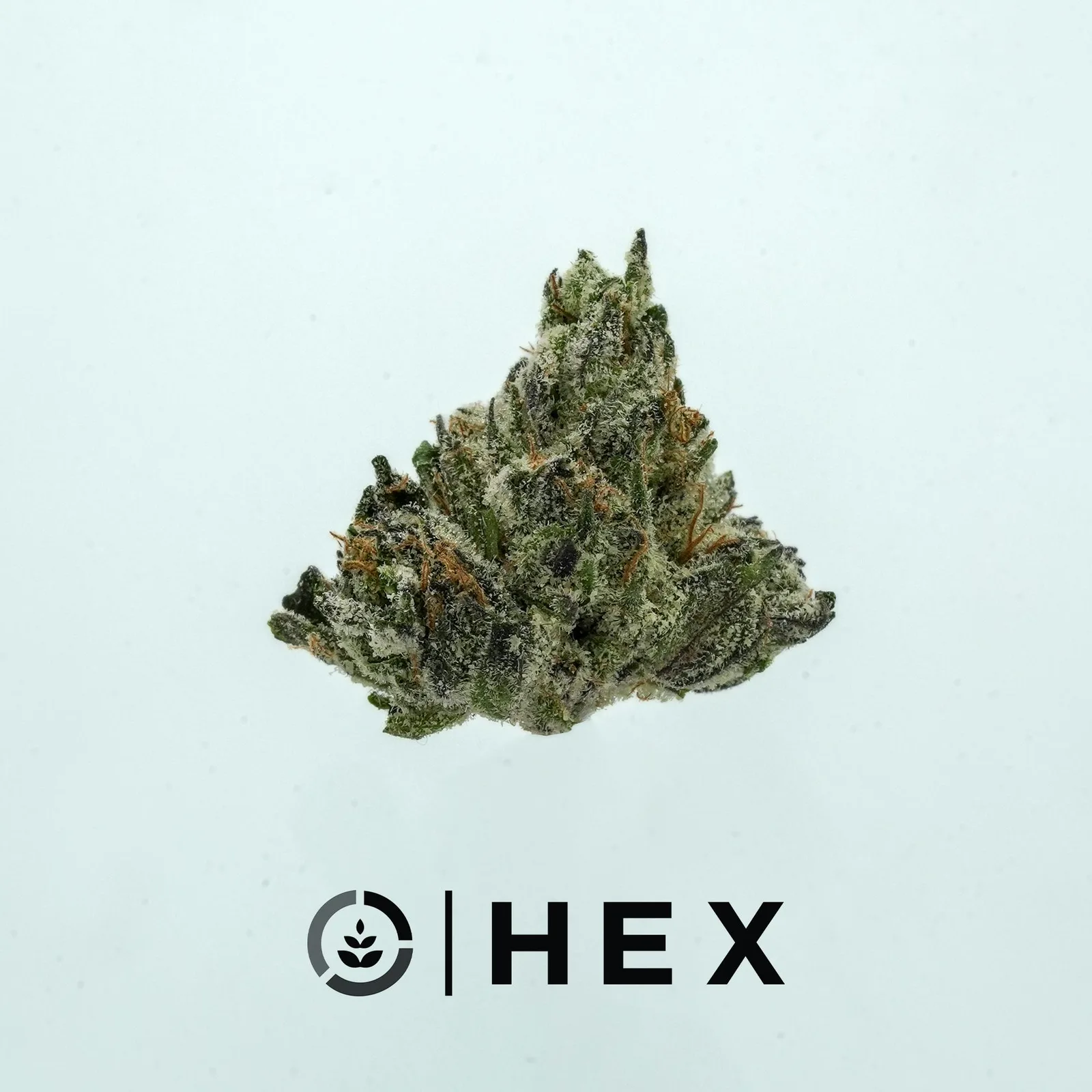 HEX | RUNTZ SMALLS | 7G