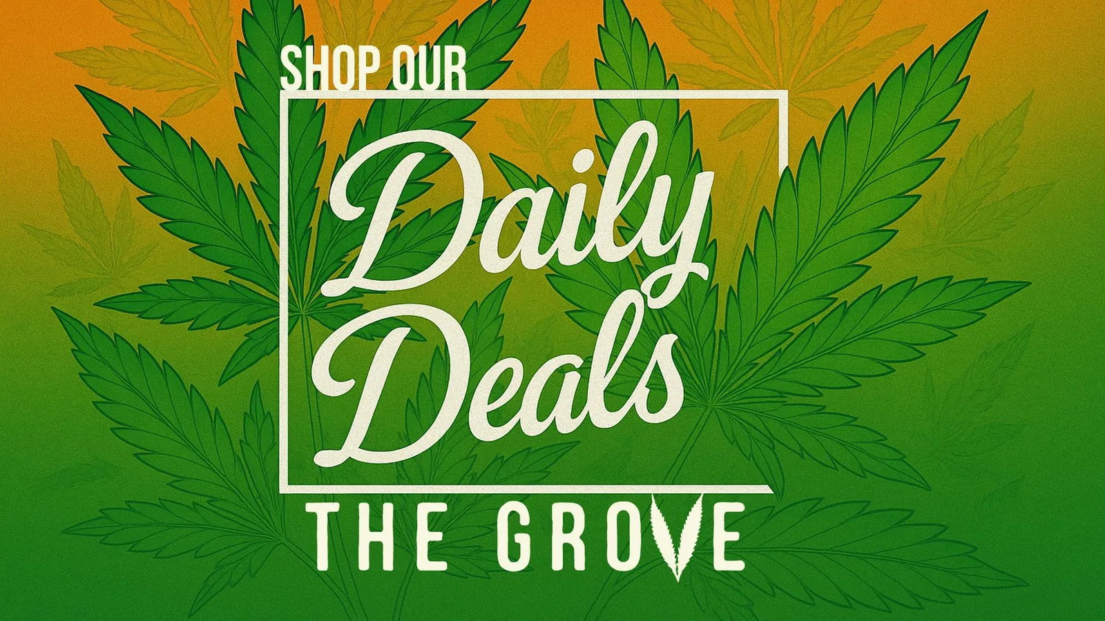 Daily Deals!