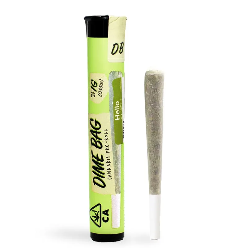 Canal St. RNTZ Preroll (1g)
