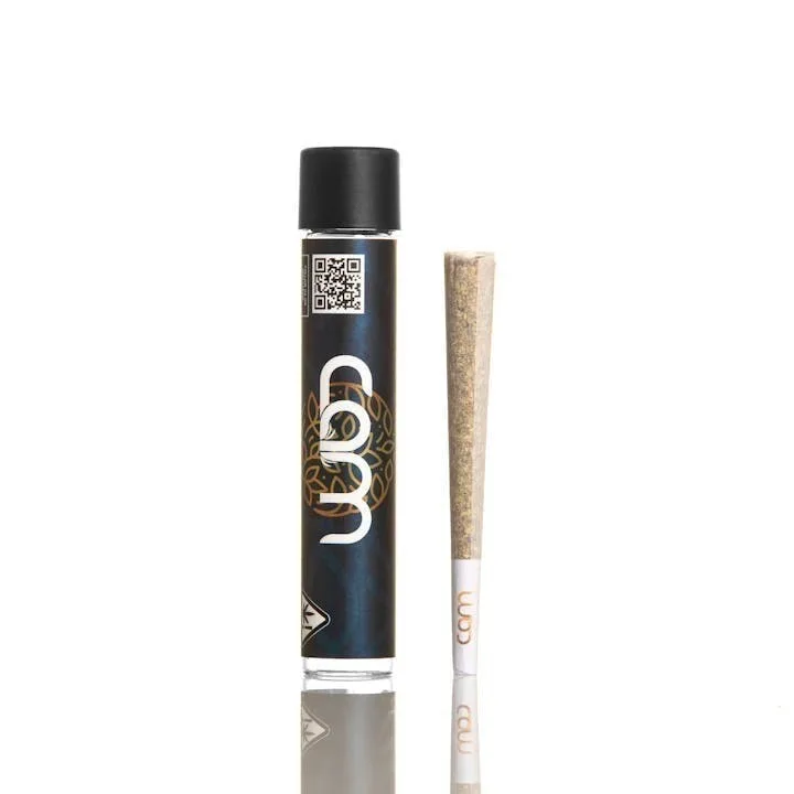 CAM Crimson Clover (H) Preroll 1g