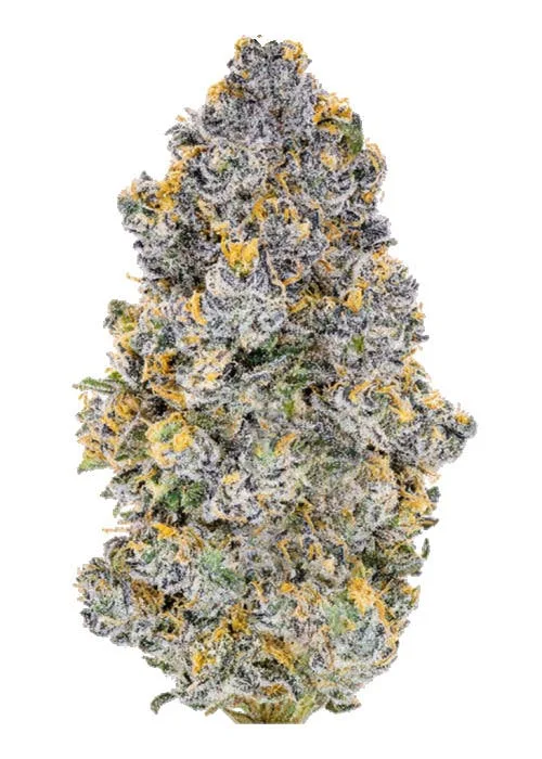 Backpack Boyz - Lemon Cherry Zkittlez