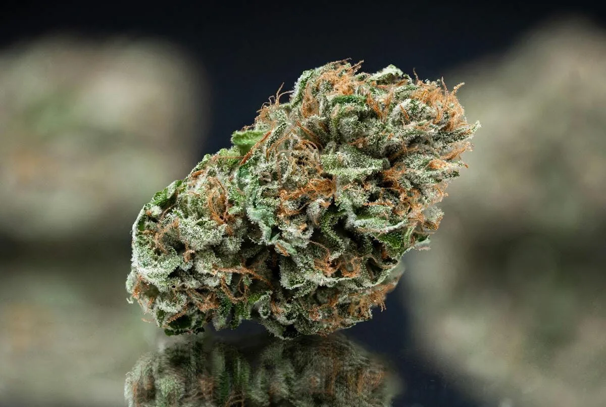 Mega Diesel - Indoor - 3.5g