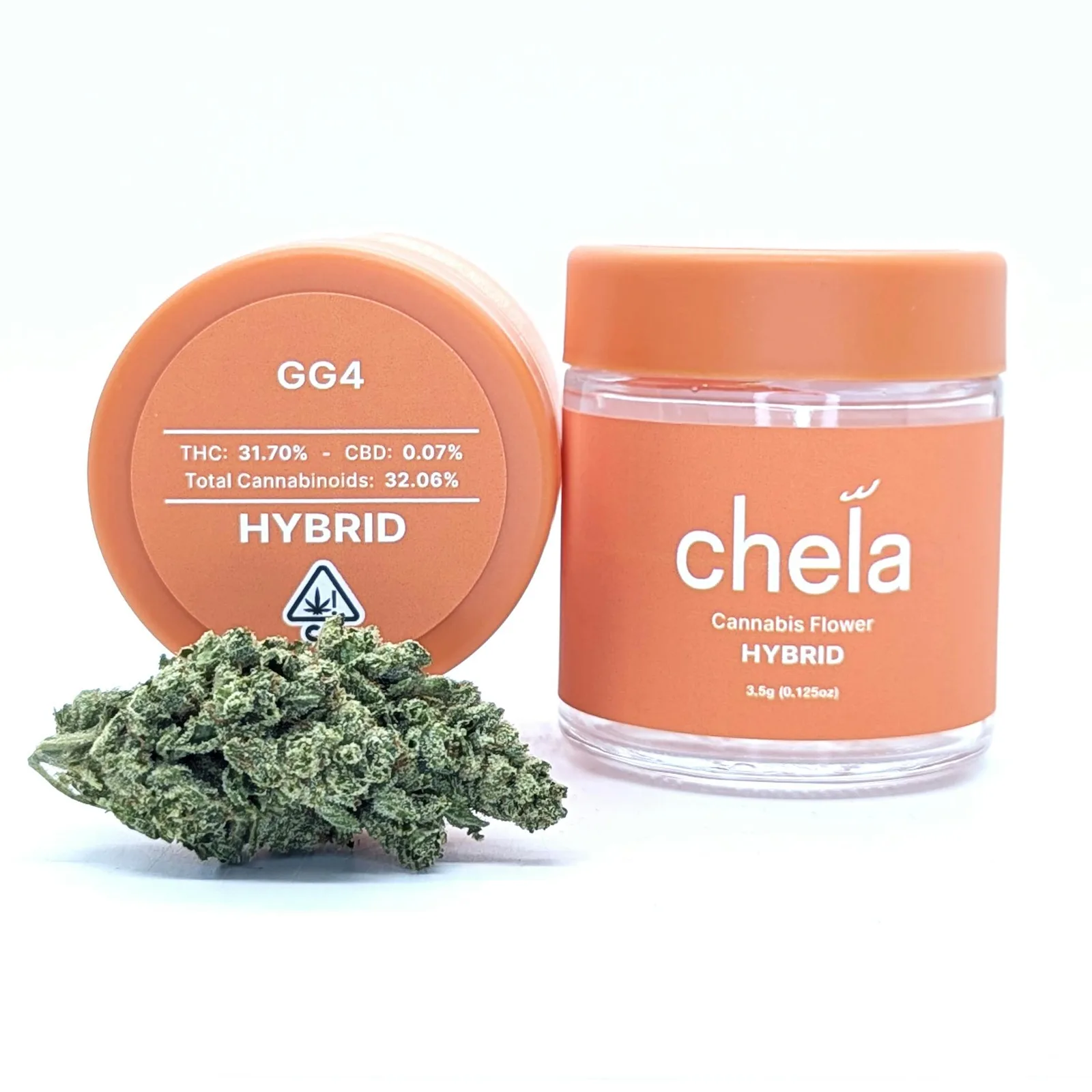 Chela - Light - GG4