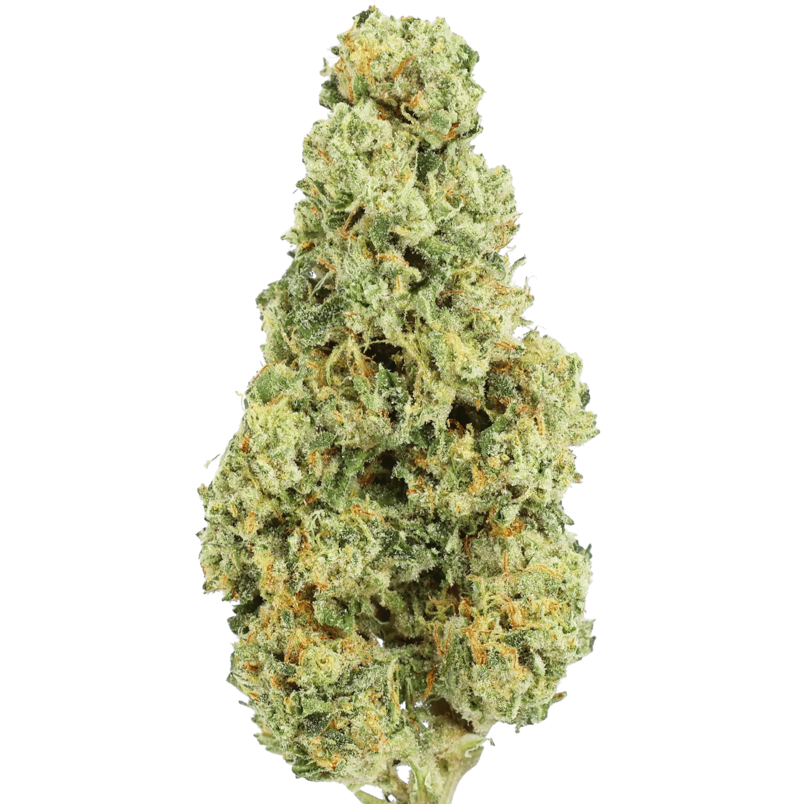 TP - STREET GURU - 5 GRAMS