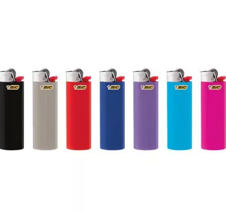 BIC Regular Lighter