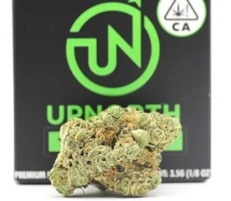 UpNorth Eighth 3.5g - NF1