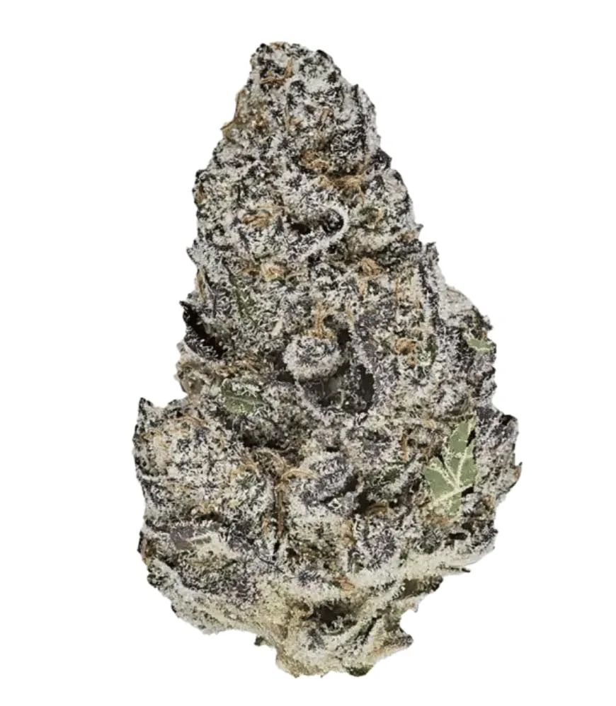 WeedNearMe - WeedNearMe 14G | Blue Lobster (Supreme Shelf!)