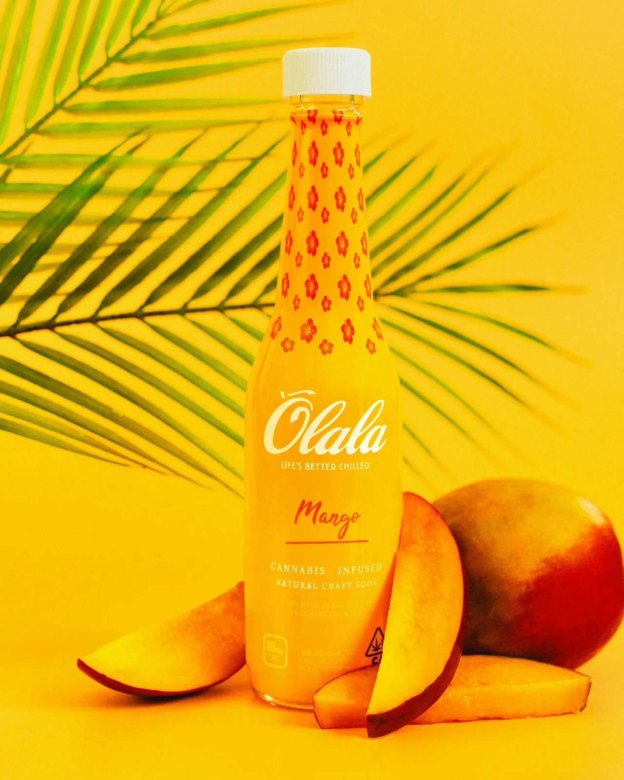 Infused Craft Soda - 10mg - Mango