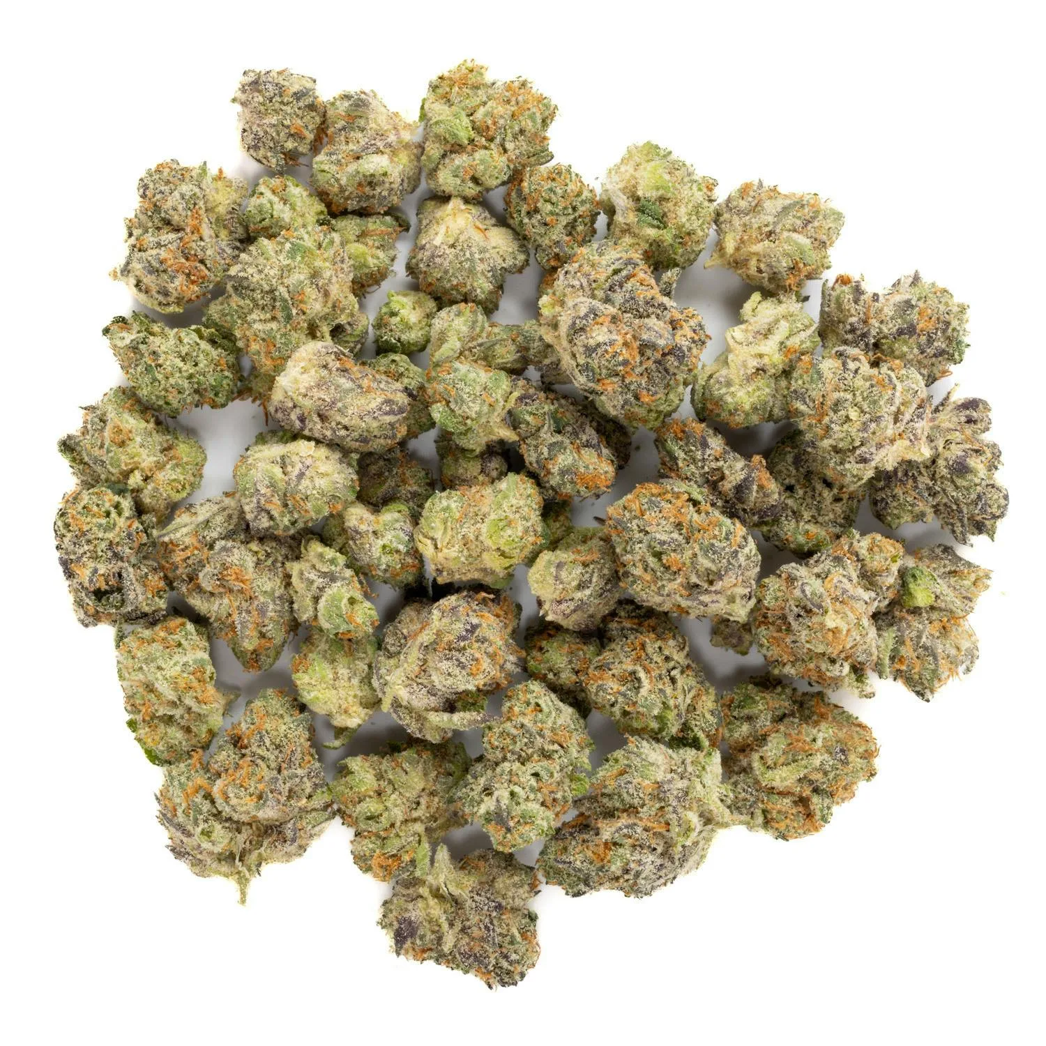 Sherbacio - INDOOR MID BUDS