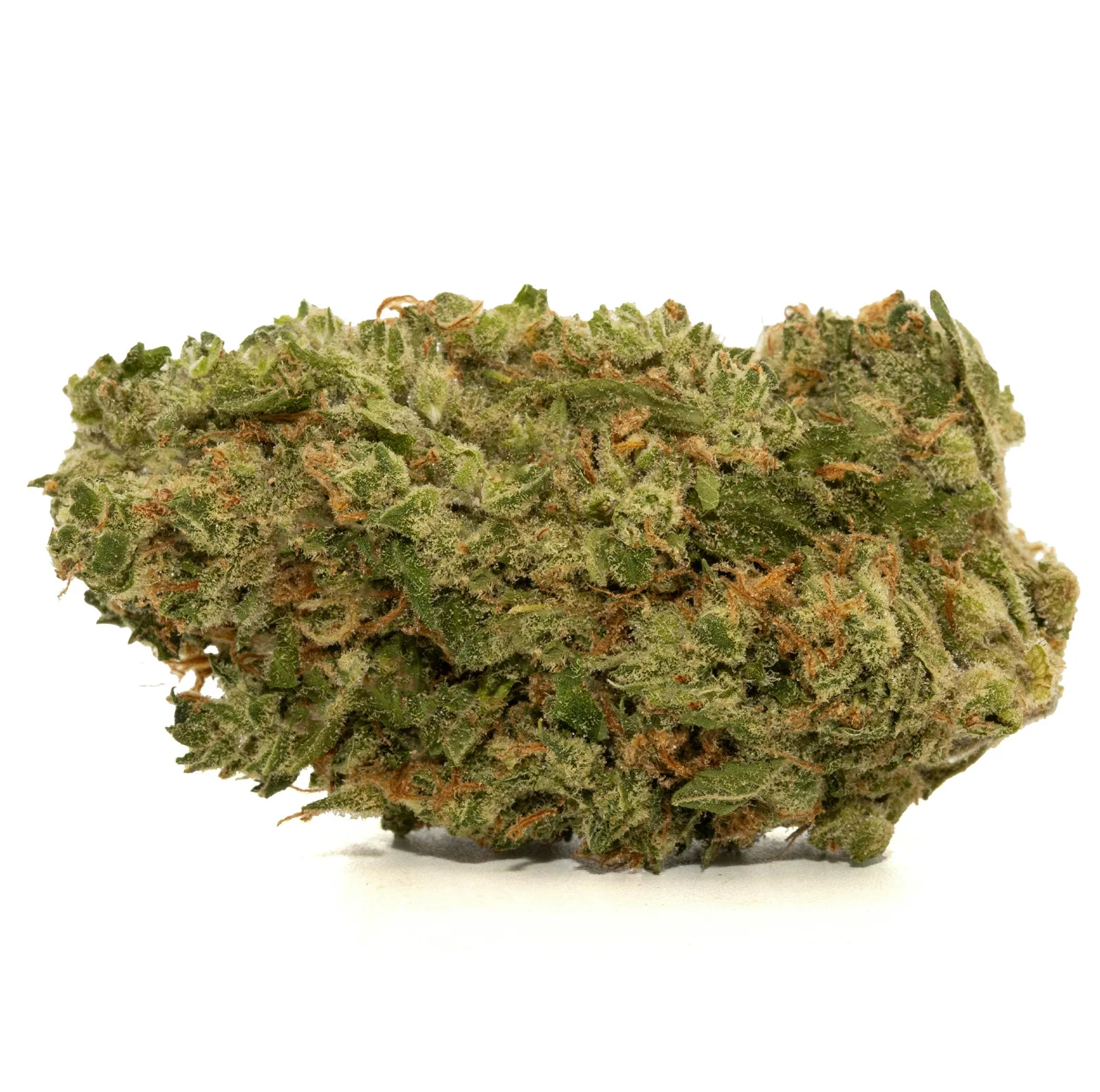 DOUBLE DREAM [14G]